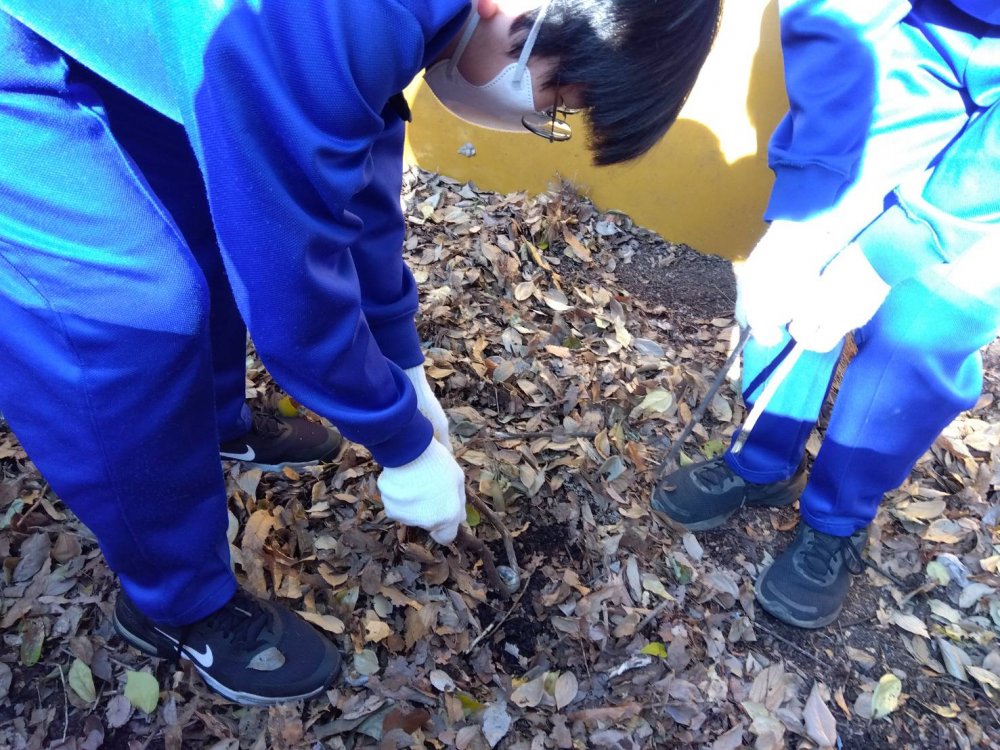 腐葉土を袋詰めにしている様子1